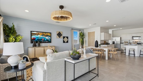 Living room and kitchen