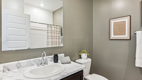 Guest bath