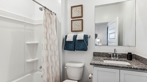 A well-designed bathroom emphasizing functionality and contemporary style.