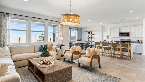 A well-organized living room that includes a kitchen and dining area, creating a warm and welcoming environment for gatherings.