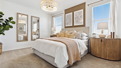 Primary bedroom with plush carpeting and a large walk-in closet.