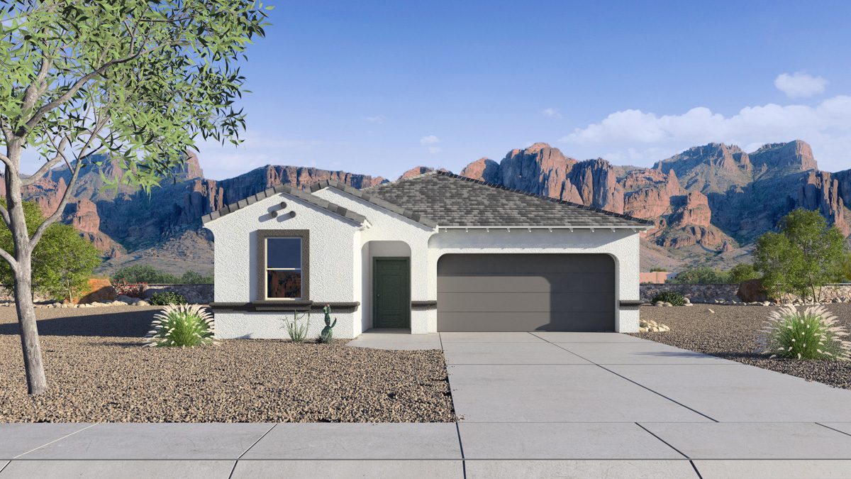 Newly built single-story home with modern architecture, a double garage, and landscaped front yard.