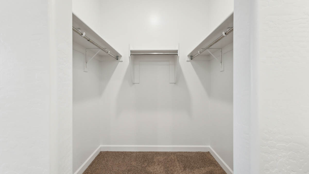 Large primary closet with carpet and shelving.