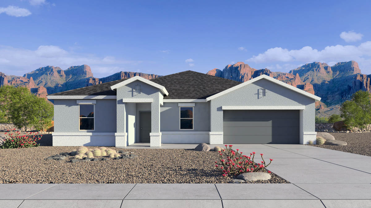 Newly built single-story home with modern architecture, a double garage, and landscaped front yard.