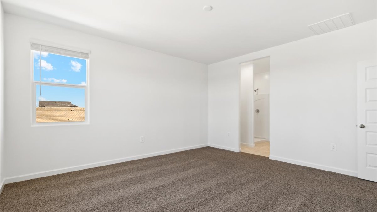 Primary bedroom with plush carpeting and a large walk-in closet.