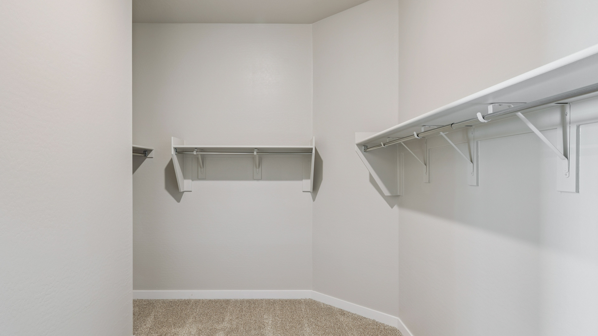 primary bedroom with walk in closet