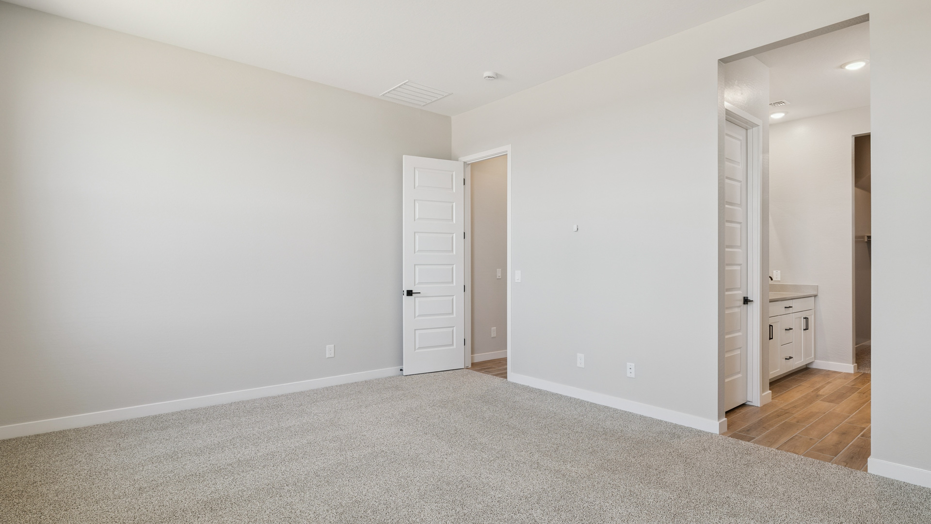 primary suite with walk in closet