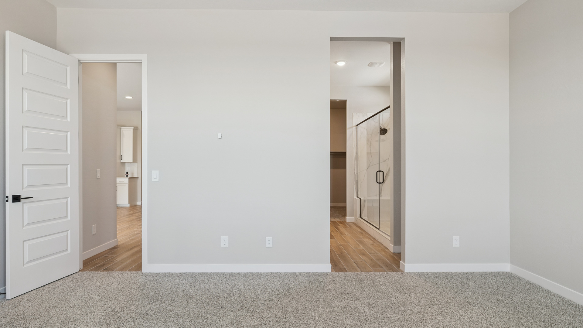 primary suite with walk in closet