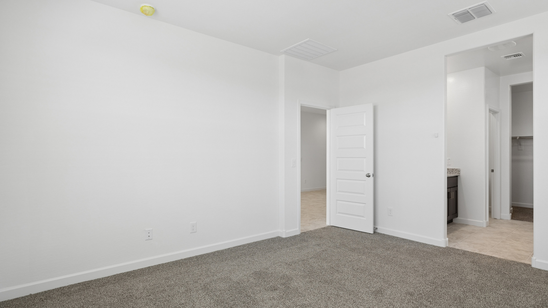 primary suite with walk in closet
