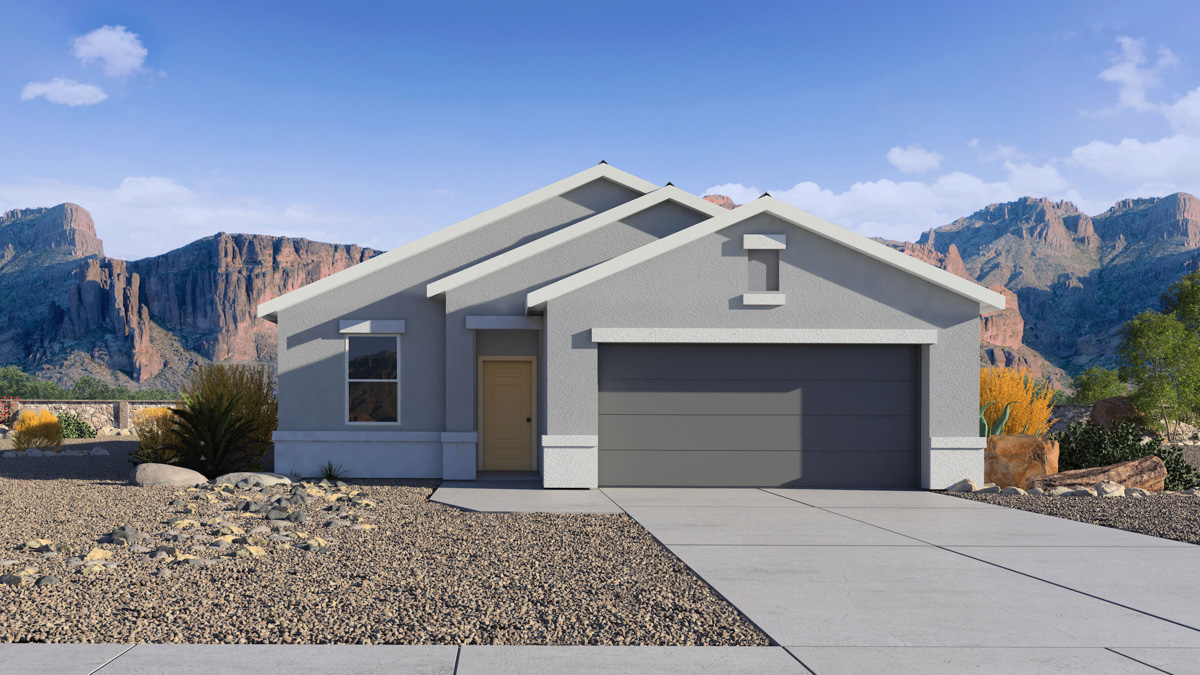 Newly built single-story home with modern architecture, a double garage, and landscaped front yard.