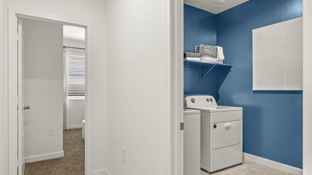 laundry room with shelving