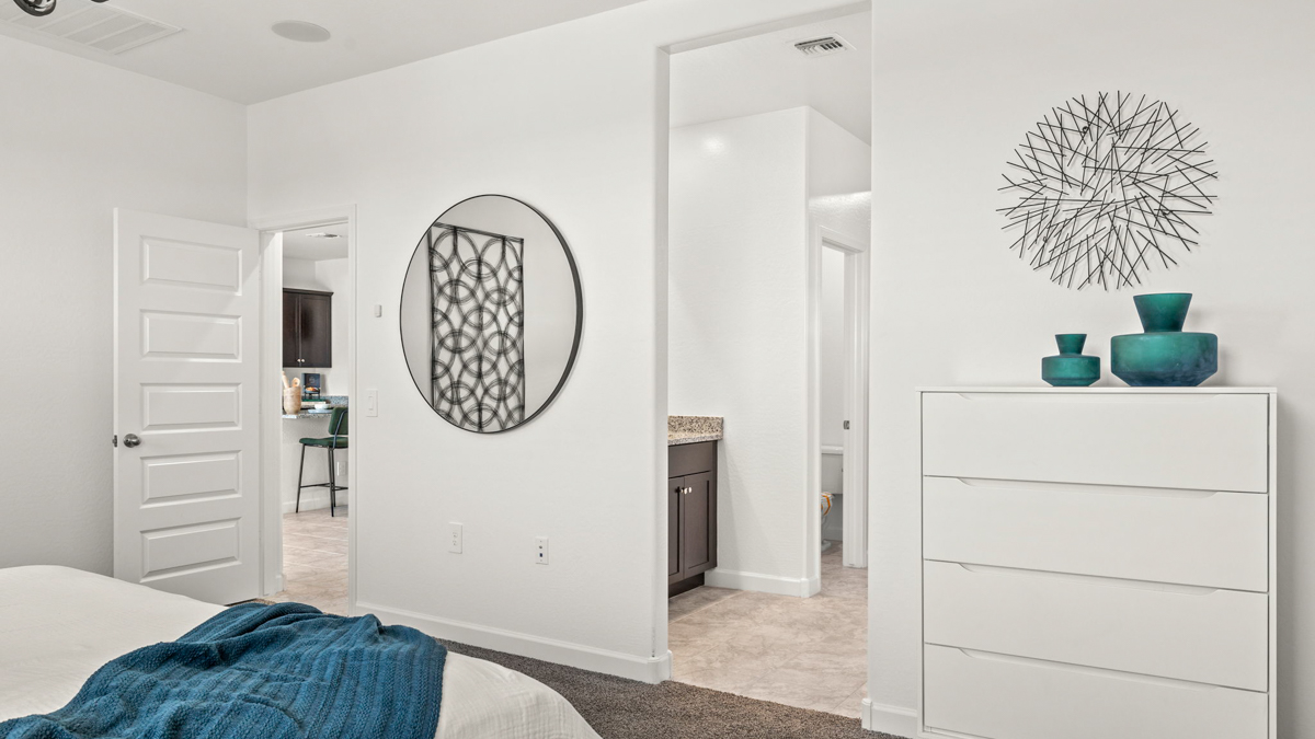 primary suite with walk in closet