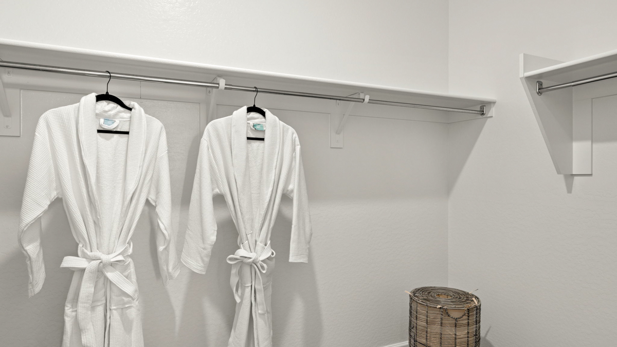 primary suite with walk in closet
