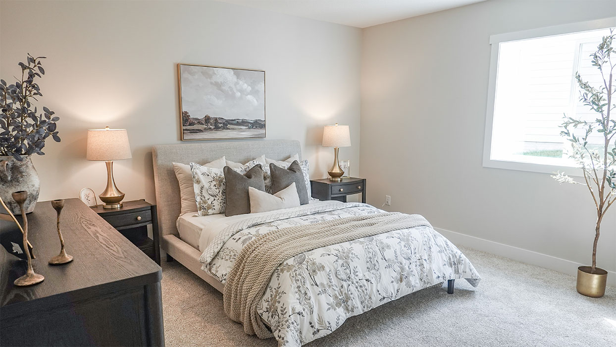 Spacious basement bedroom with large closet attached