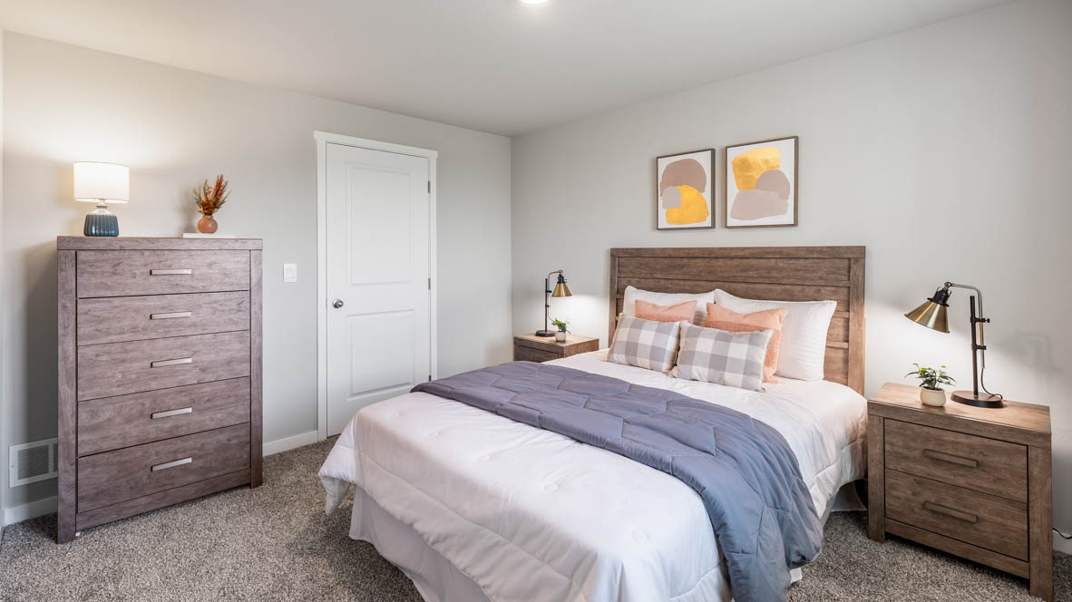 Spacious basement bedroom with large closet attached