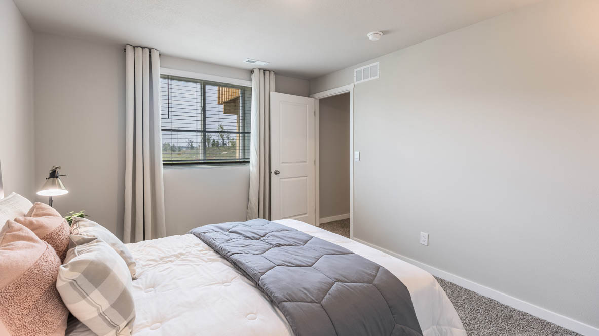 Spacious basement bedroom with large closet attached