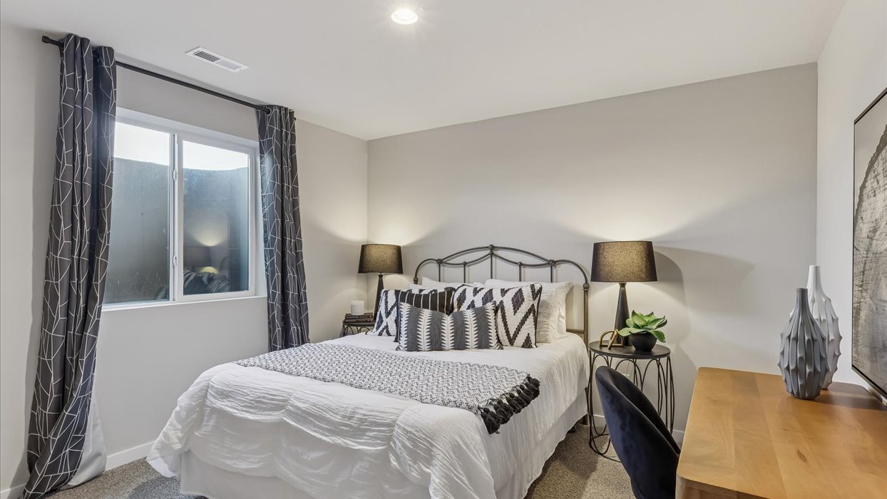 Spacious basement bedroom with large closet attached