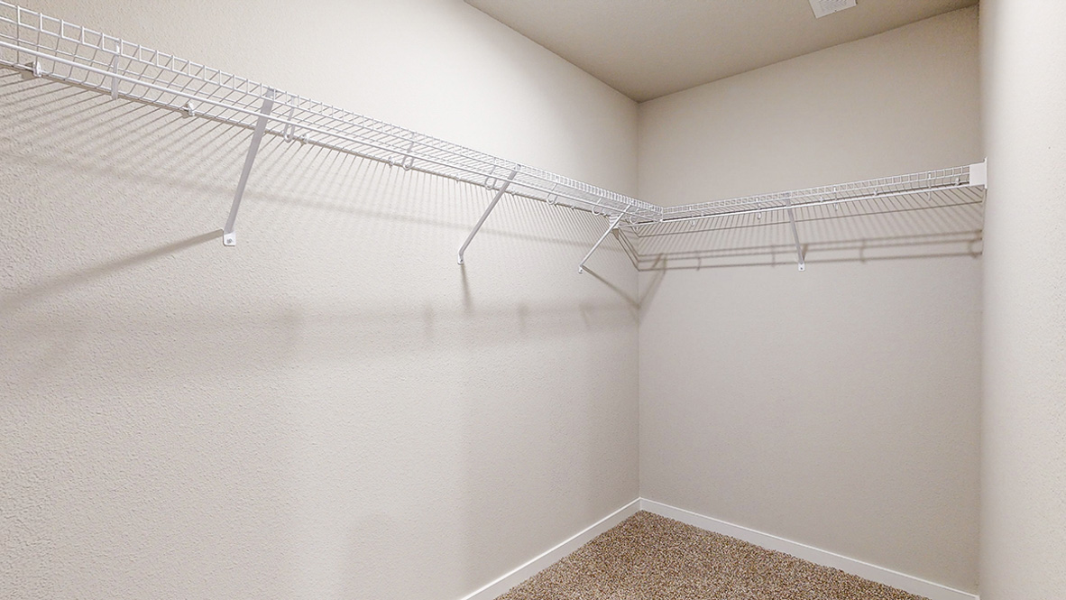Spacious walk-in closet offering ample room for clothing, accessories, and everyday essentials.