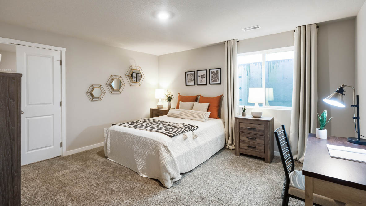 Spacious basement bedroom with large closet attached