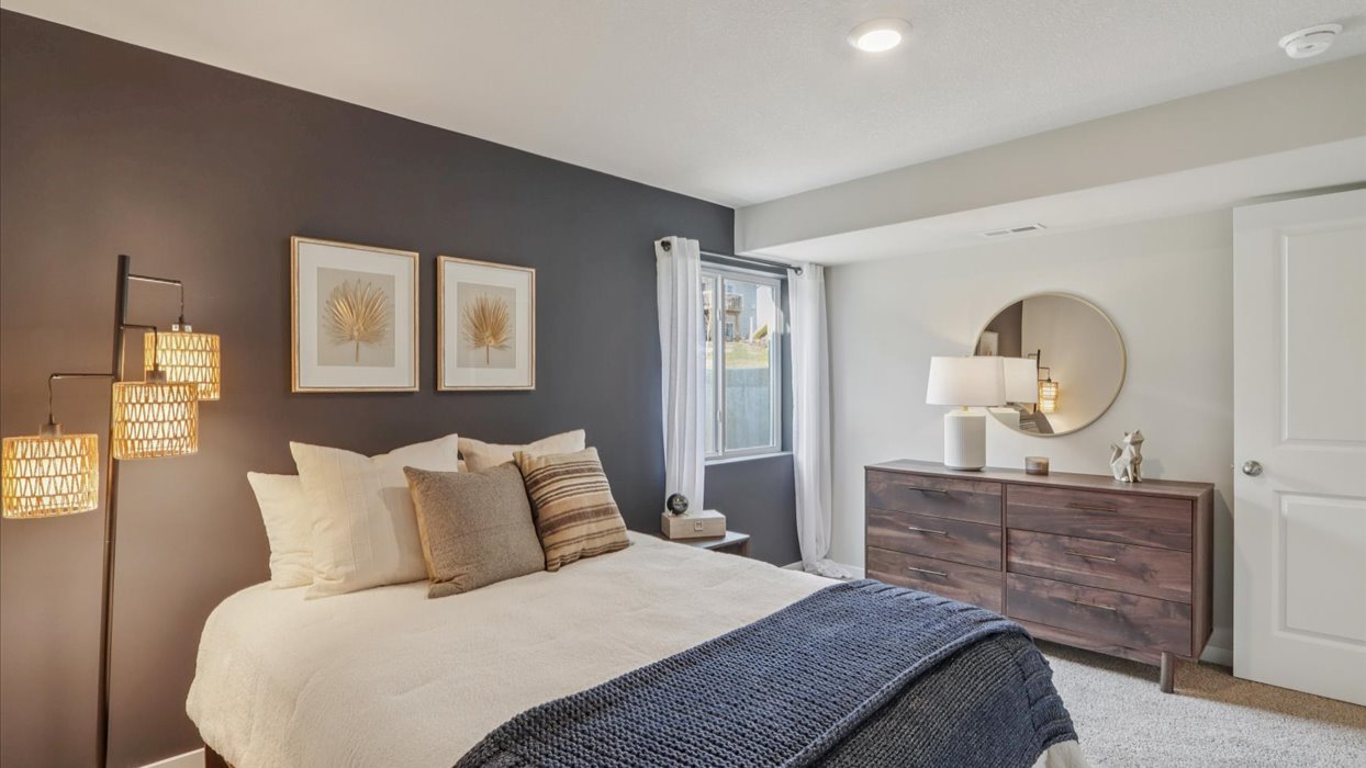 Spacious basement bedroom with large closet attached