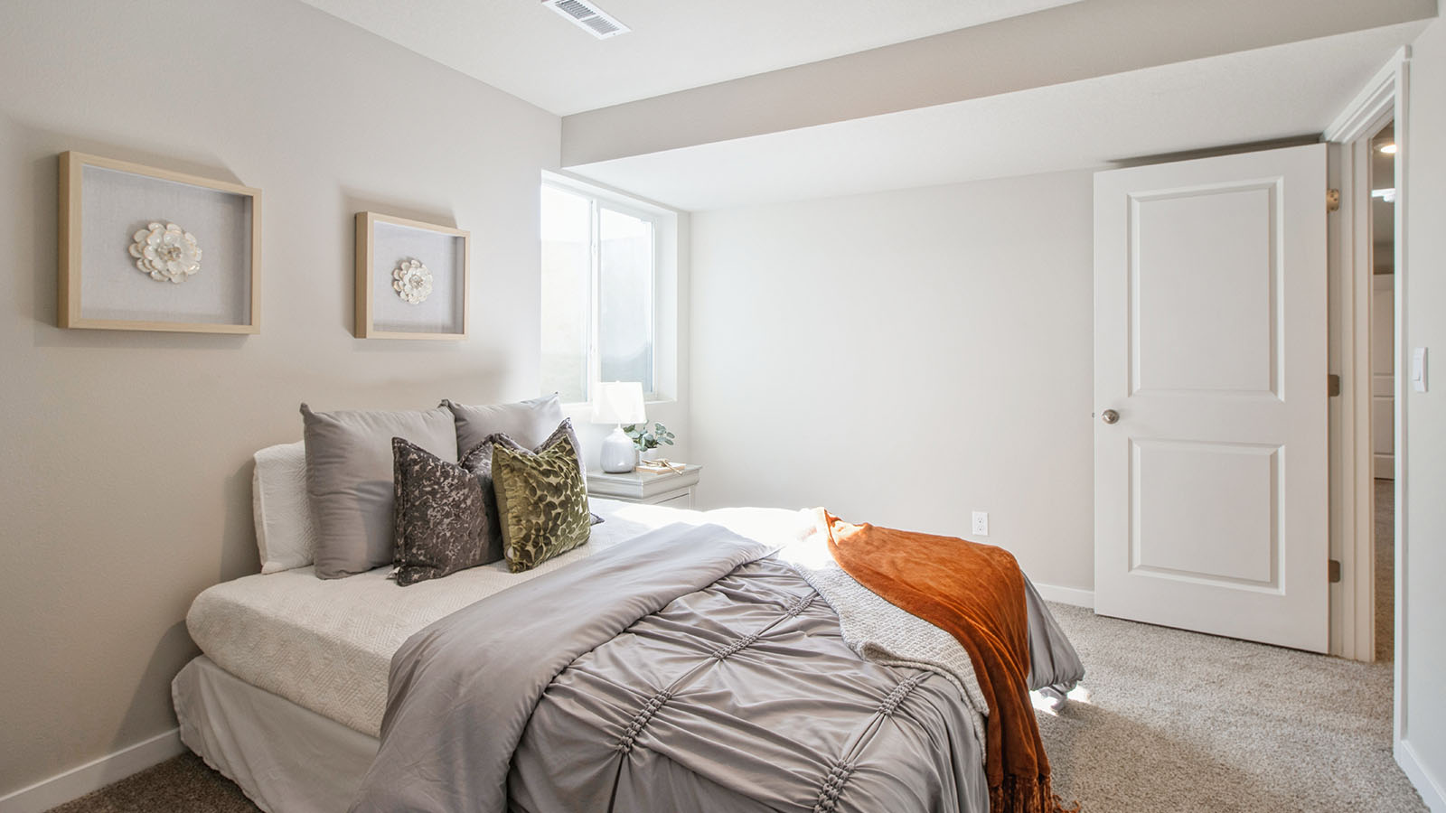 Spacious basement bedroom with large closet attached