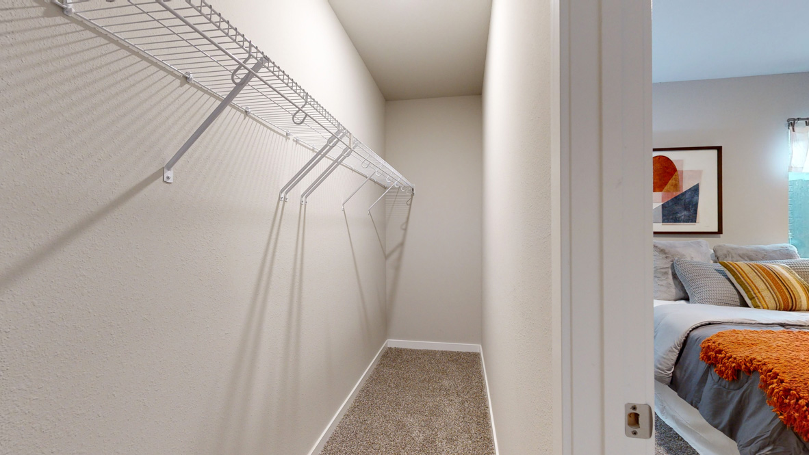 Large basement closet