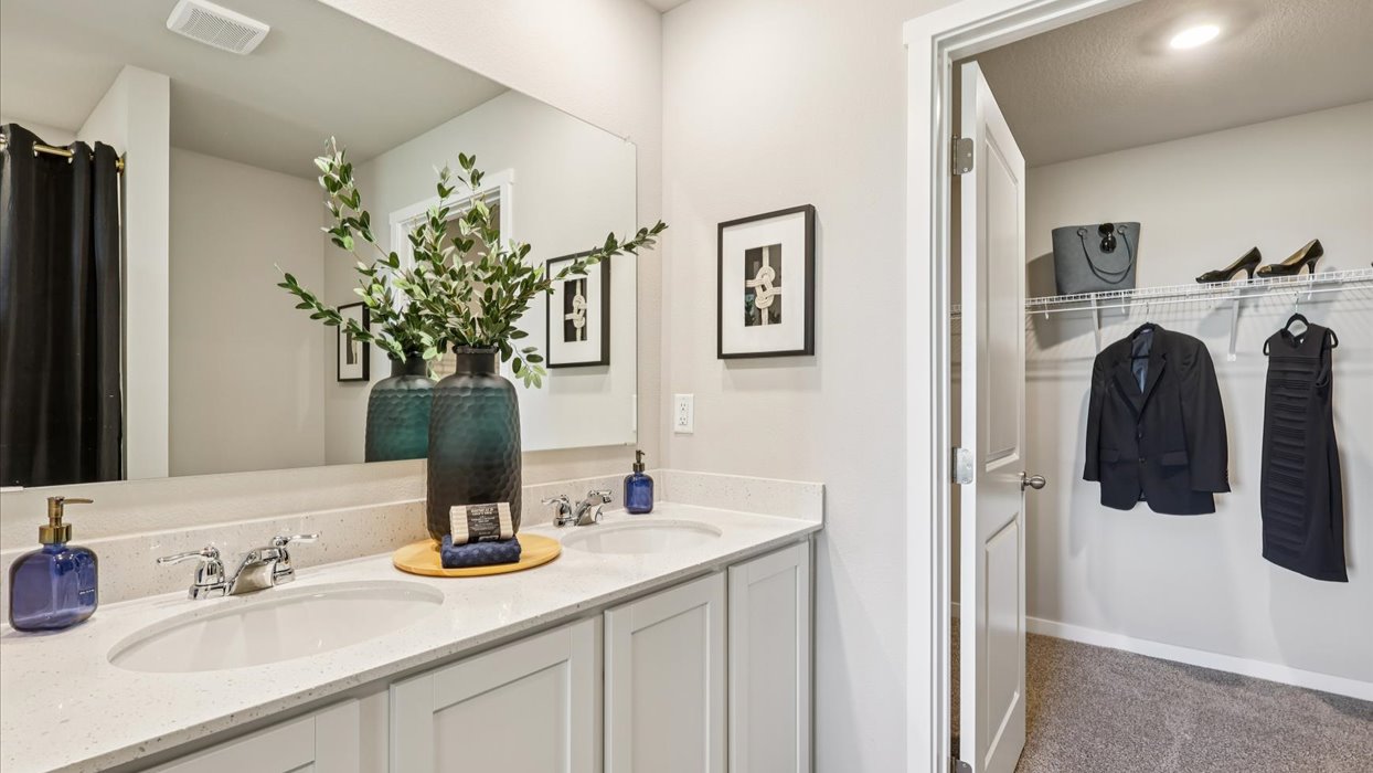 primary bathroom with large mirror and walk-in closet