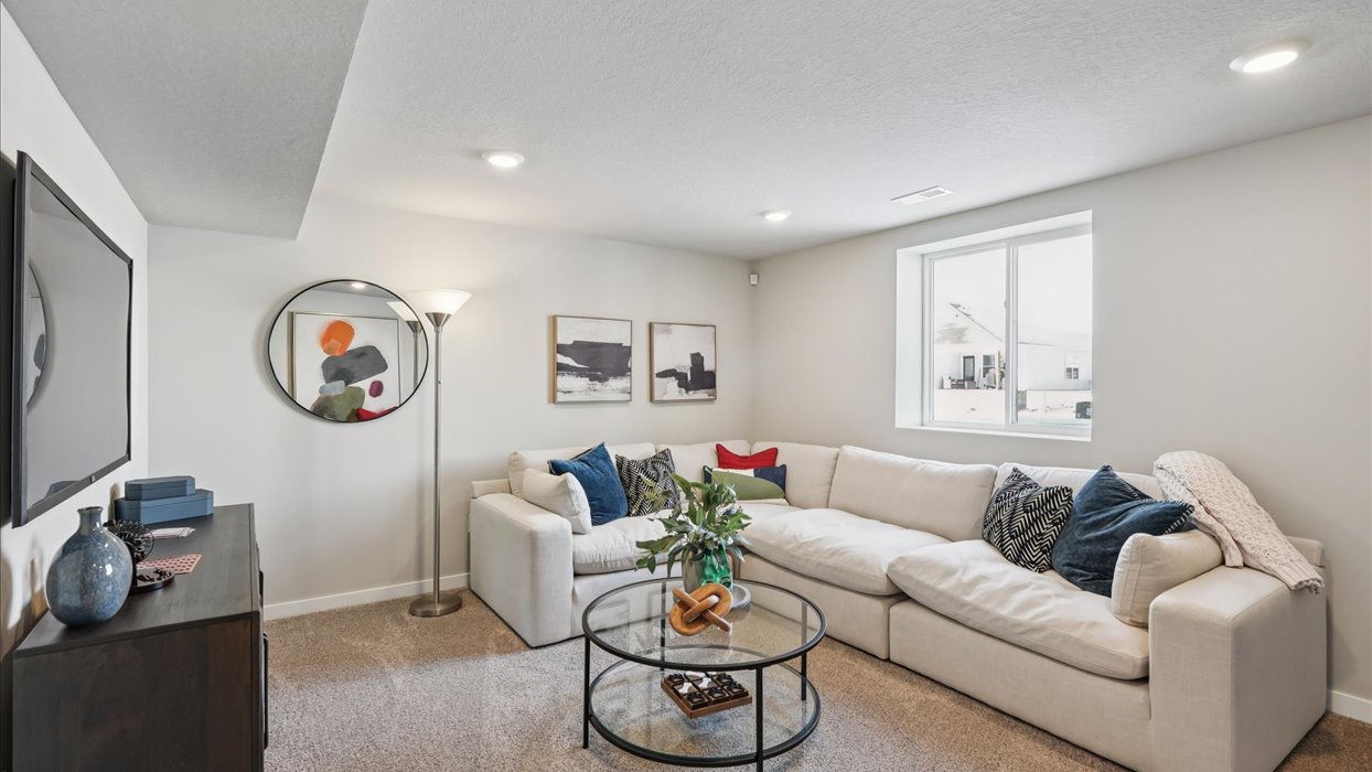 Spacious basement bedroom with large closet attached