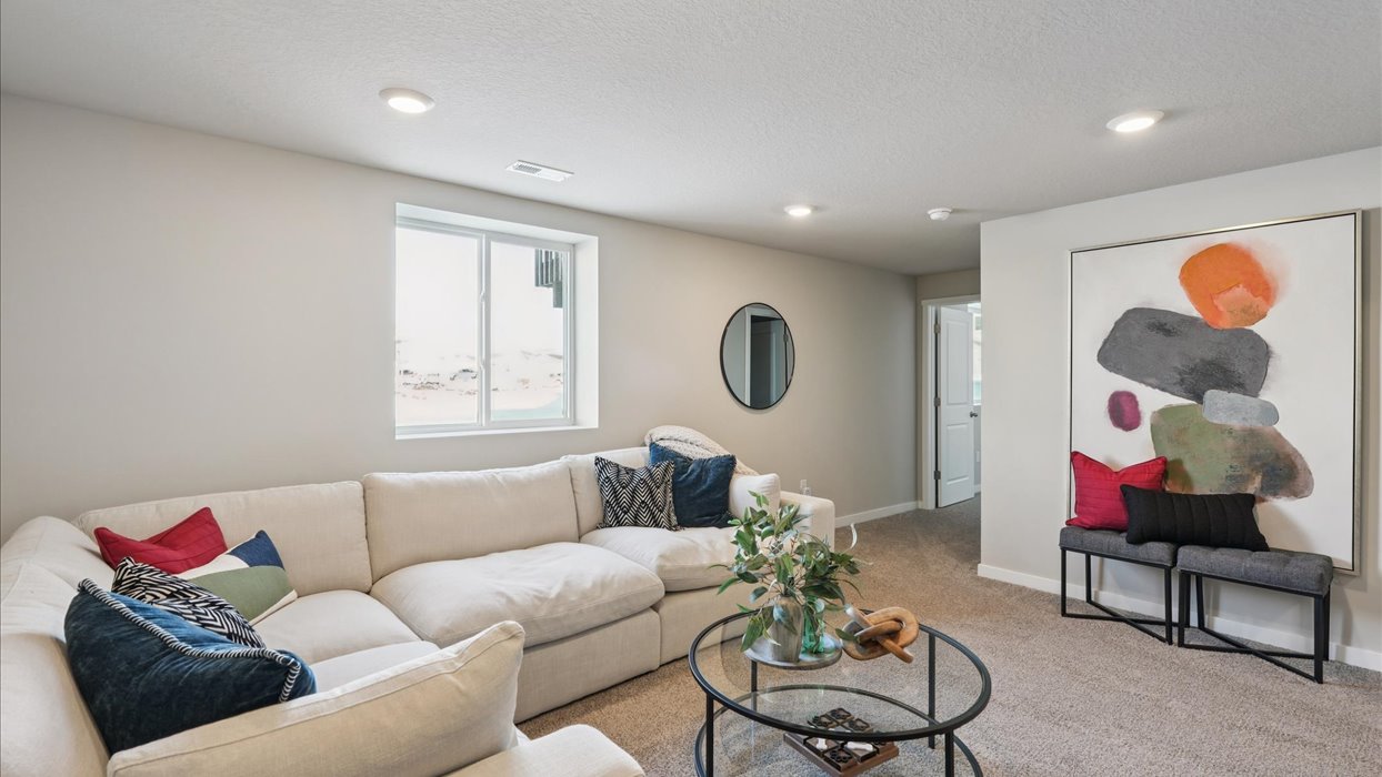 Spacious basement bedroom with large closet attached