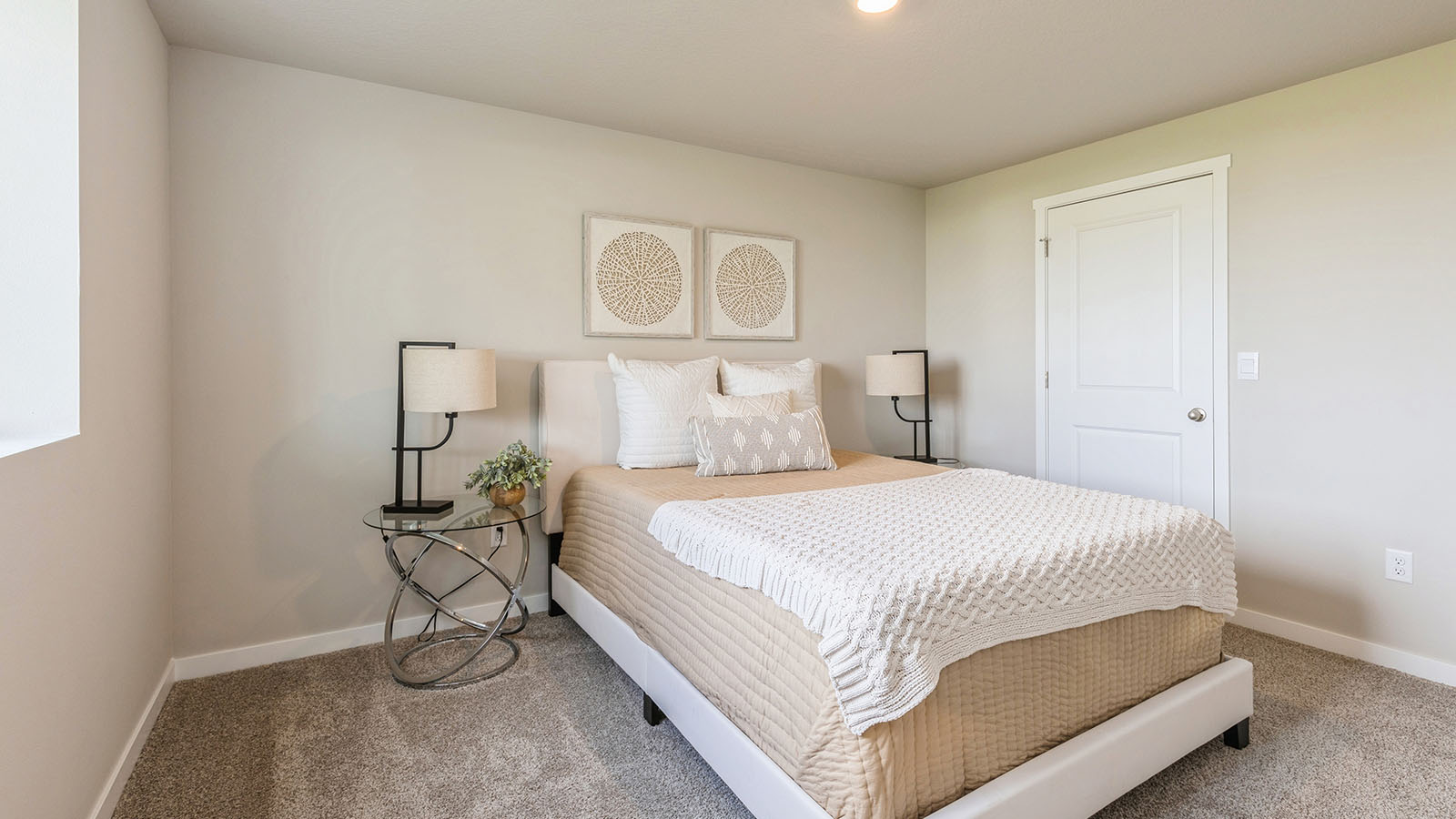 Spacious basement bedroom with large closet attached