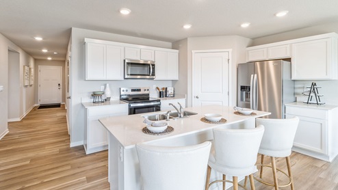 modern kitchen with white cabinetry and walk-in pantry