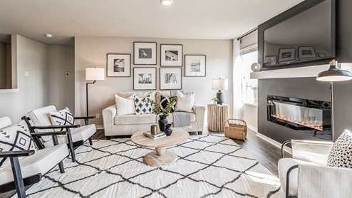 Modern living room with large area rug and floor lamp