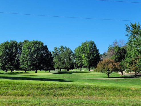 Local park