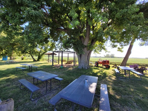 Bench at park near community