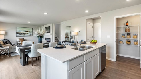 kitchen island showing pantry