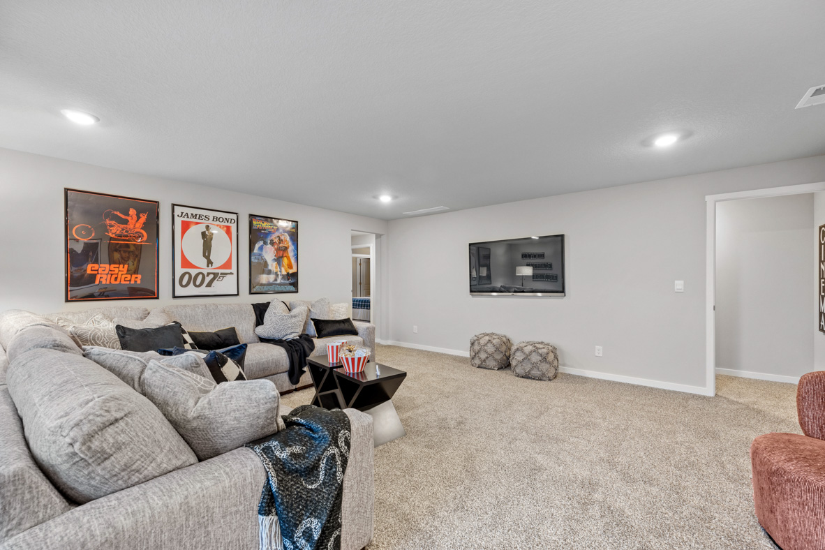 TV mounted in finished basement