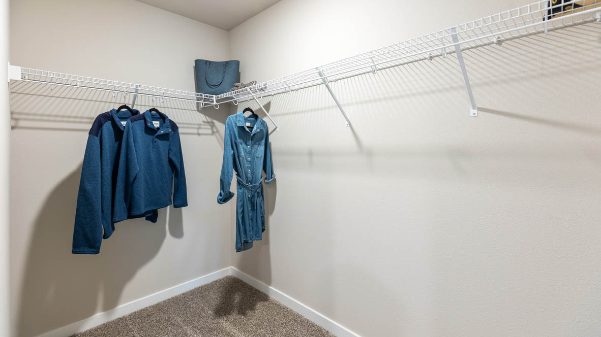 Spacious walk in closet with hanging rod and shelf.