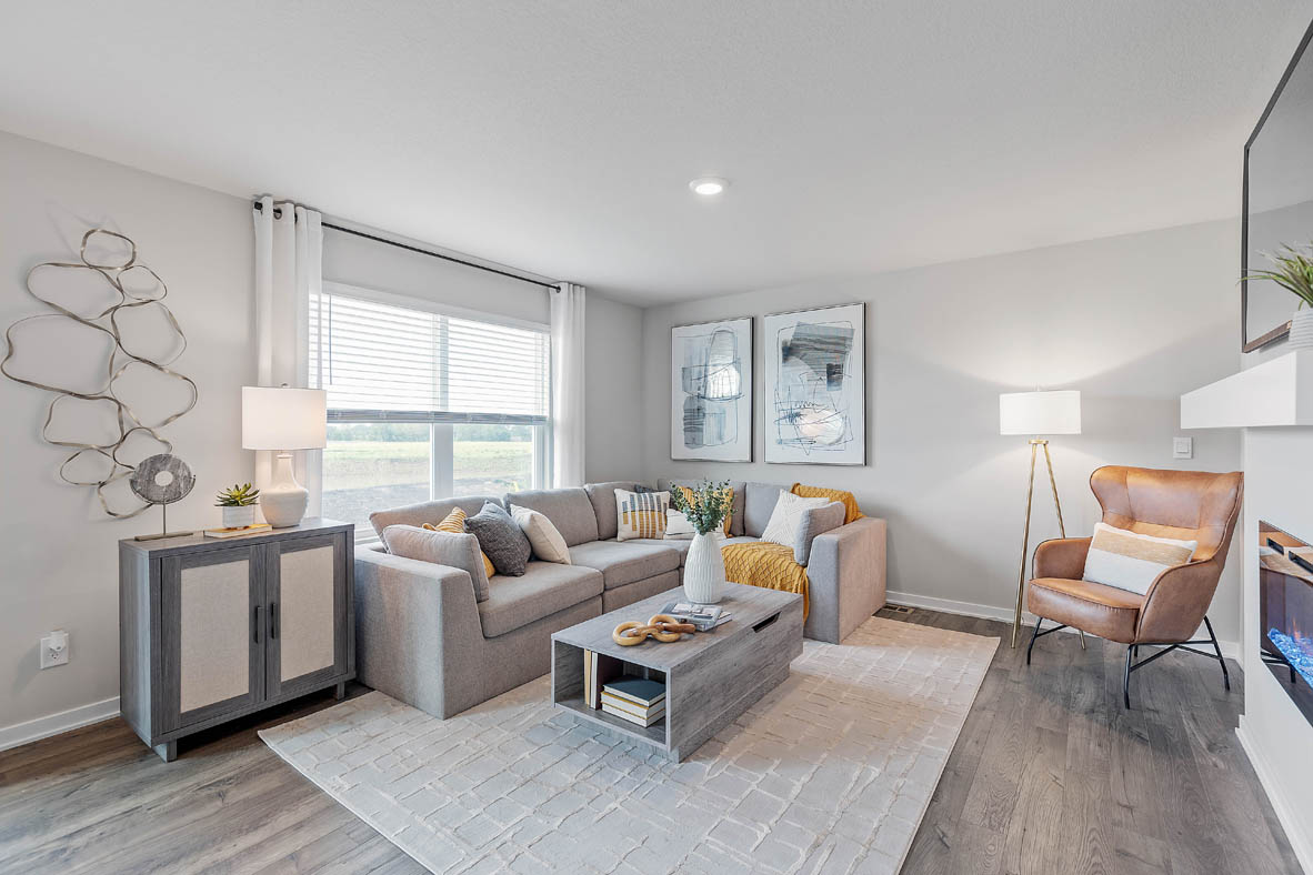 Bright living room with couches and large area rug