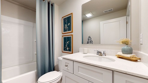 Third bathroom with large mirror and bathtub