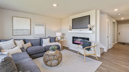 large living room with grey couch and electric fireplace