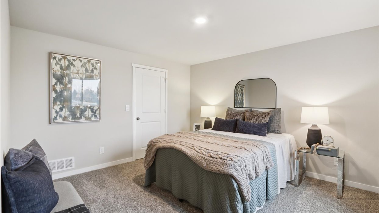 Spacious basement bedroom with large closet attached