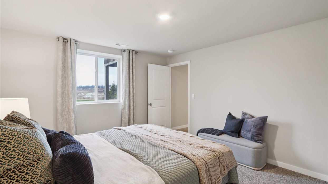 Spacious basement bedroom with large closet attached