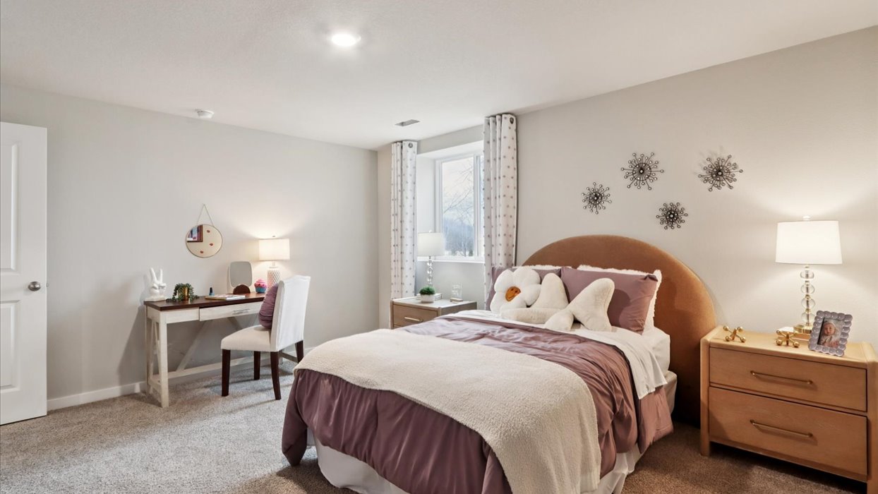 Spacious basement bedroom with large closet attached