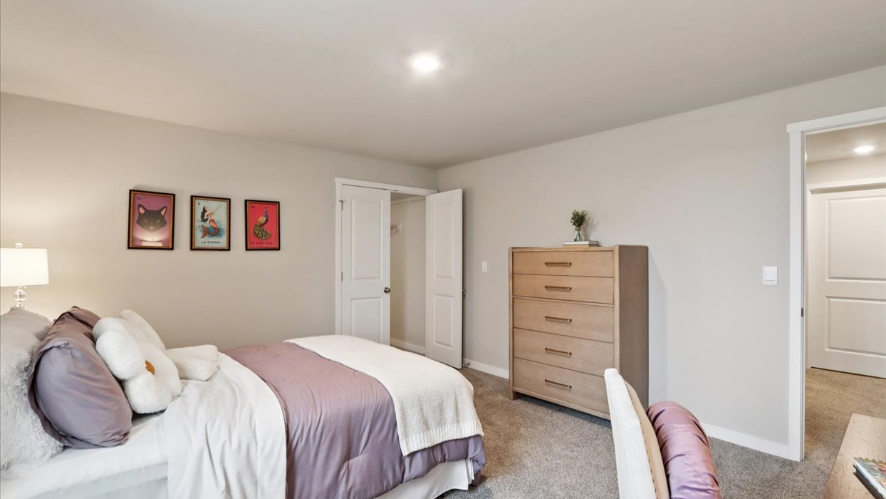 Spacious basement bedroom with large closet attached