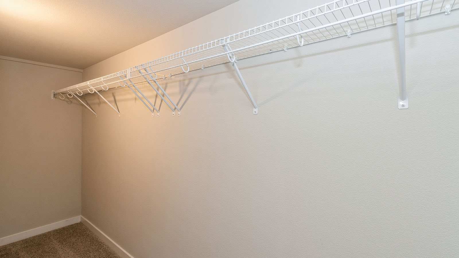 Spacious basement bedroom with large closet attached