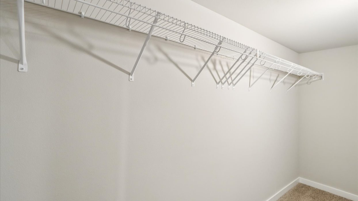 Spacious walk-in closet offering ample room for clothing, accessories, and everyday essentials.