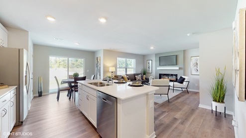 Overview of the kitchen, living room and dining room of the sydney