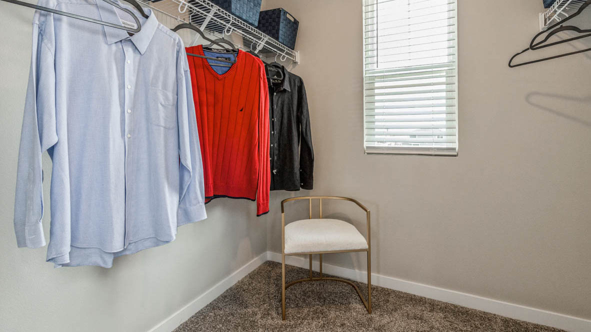 Primary walk in closet with carpeted floors.