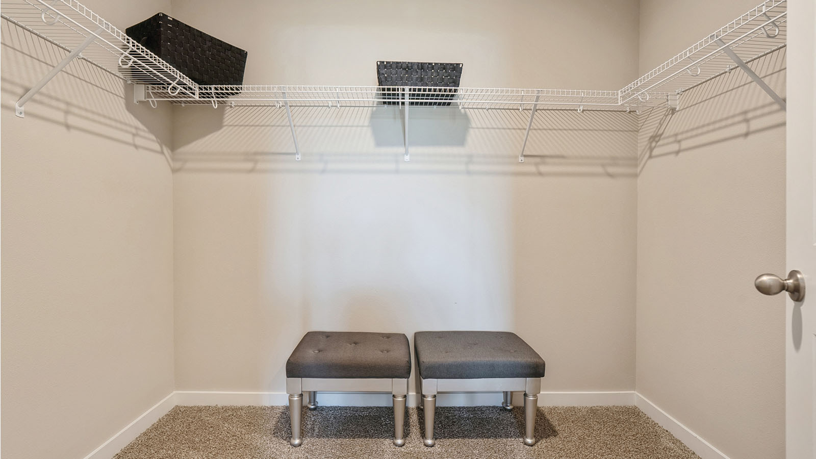 Walk in closet with carpeted floors.