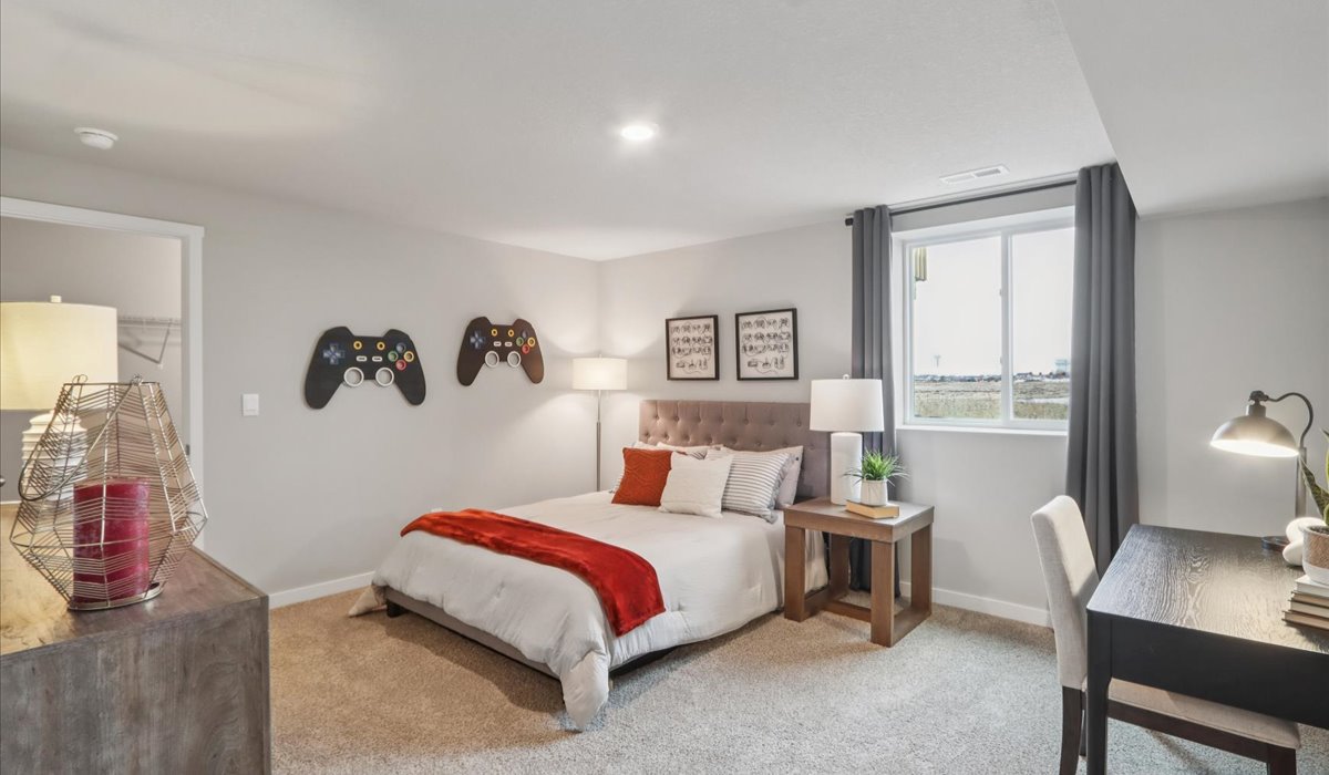 Spacious basement bedroom with large closet attached